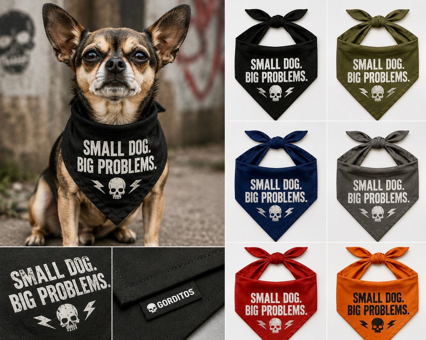 Small Dog Big Problems.