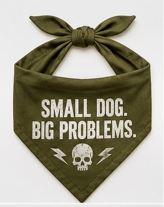 Small Dog Big Problems.