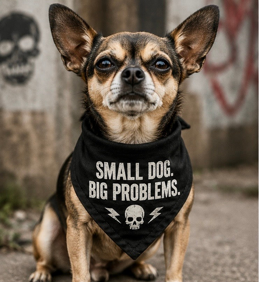 Small Dog Big Problems.