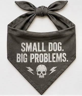 Small Dog Big Problems.