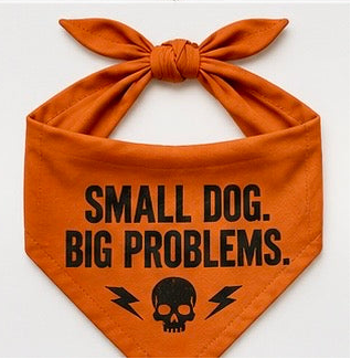 Small Dog Big Problems.